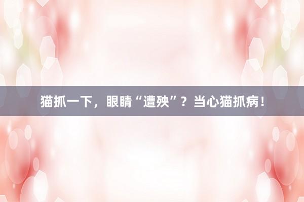 猫抓一下，眼睛“遭殃”？当心猫抓病！