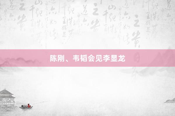 陈刚、韦韬会见李显龙