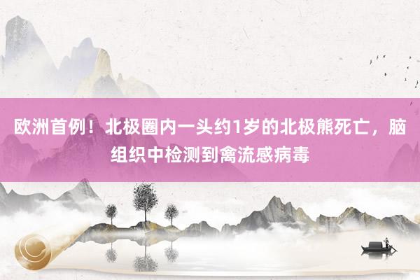 欧洲首例！北极圈内一头约1岁的北极熊死亡，脑组织中检测到禽流感病毒