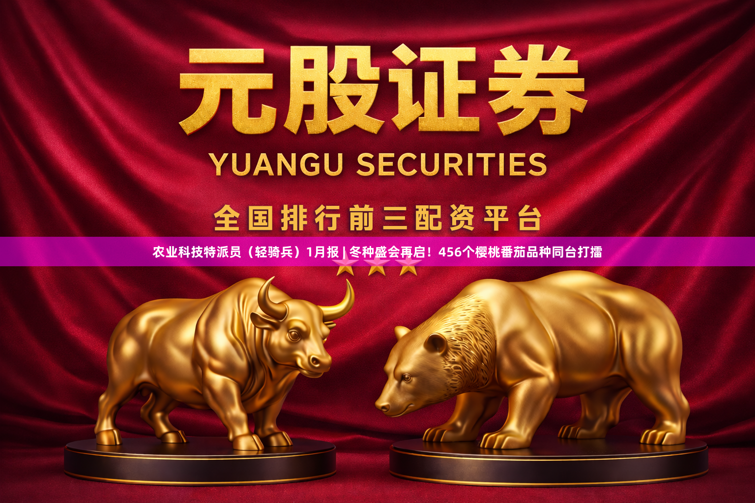 农业科技特派员（轻骑兵）1月报 | 冬种盛会再启！456个樱桃番茄品种同台打擂