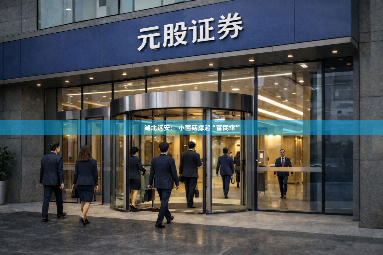 湖北远安： 小菌菇撑起“富民伞”