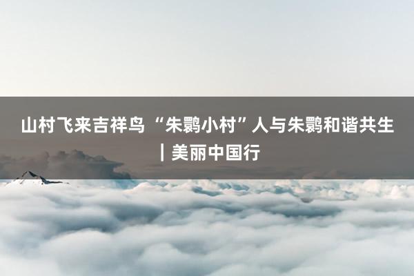 山村飞来吉祥鸟 “朱鹮小村”人与朱鹮和谐共生｜美丽中国行