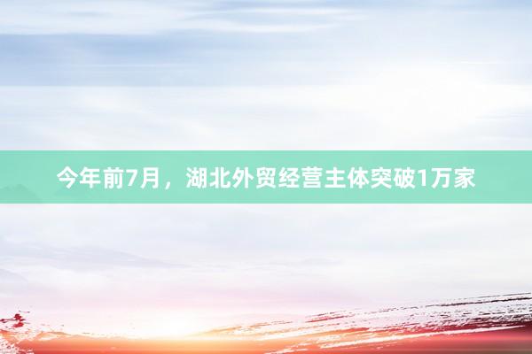 今年前7月，湖北外贸经营主体突破1万家