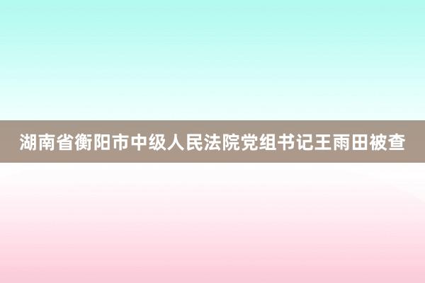 湖南省衡阳市中级人民法院党组书记王雨田被查