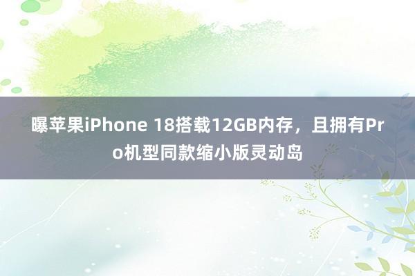 曝苹果iPhone 18搭载12GB内存，且拥有Pro机型同款缩小版灵动岛