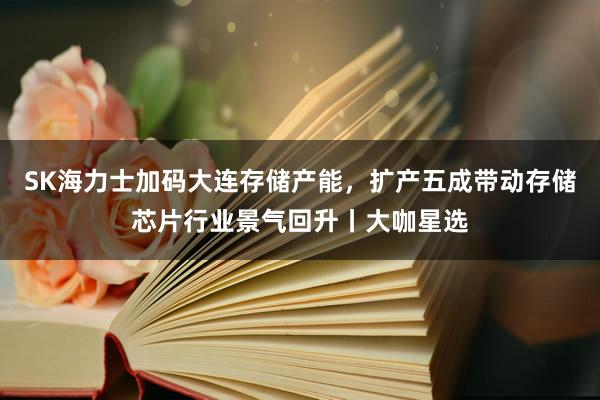 SK海力士加码大连存储产能,扩产五成带动存储芯片行业景气回升丨大咖星选