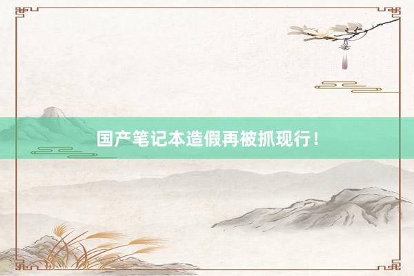 国产笔记本造假再被抓现行！