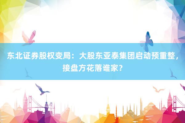 东北证券股权变局：大股东亚泰集团启动预重整，接盘方花落谁家？