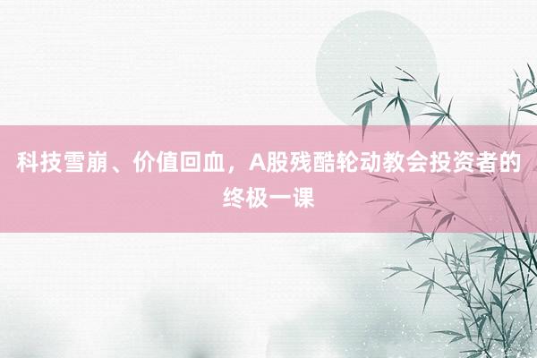 科技雪崩、价值回血，A股残酷轮动教会投资者的终极一课
