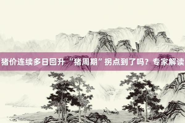 猪价连续多日回升 “猪周期”拐点到了吗？专家解读