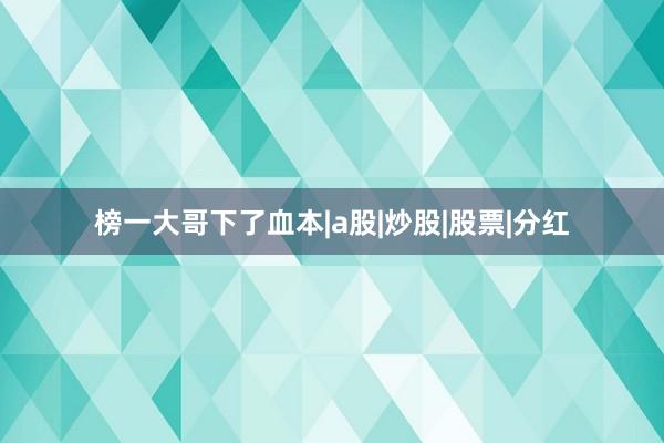 榜一大哥下了血本|a股|炒股|股票|分红