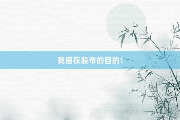 我留在股市的目的！