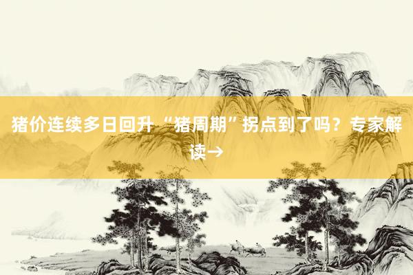 猪价连续多日回升 “猪周期”拐点到了吗?专家解读→