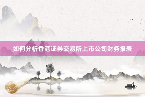 如何分析香港证券交易所上市公司财务报表