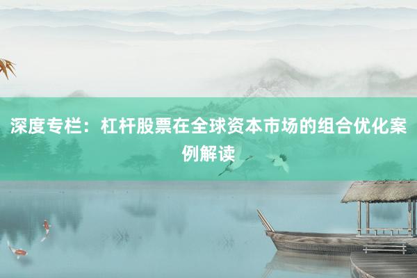 深度专栏：杠杆股票在全球资本市场的组合优化案例解读