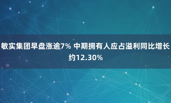 敏实集团早盘涨逾7% 中期拥有人应占溢利同比增长约12.30%