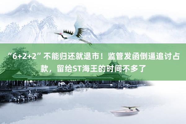 “6+2+2”不能归还就退市！监管发函倒逼追讨占款，留给ST海王的时间不多了