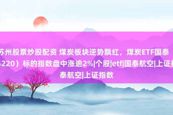 苏州股票炒股配资 煤炭板块逆势飘红，煤炭ETF国泰（515220）标的指数盘中涨逾2%|个股|etf|国泰航空|上证指数
