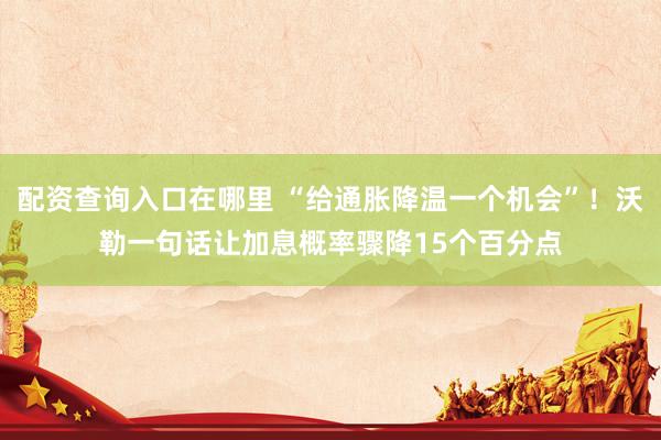 配资查询入口在哪里 “给通胀降温一个机会”！沃勒一句话让加息概率骤降15个百分点