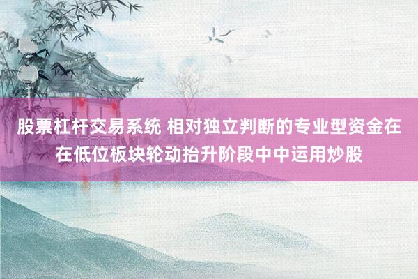 股票杠杆交易系统 相对独立判断的专业型资金在在低位板块轮动抬升阶段中中运用炒股