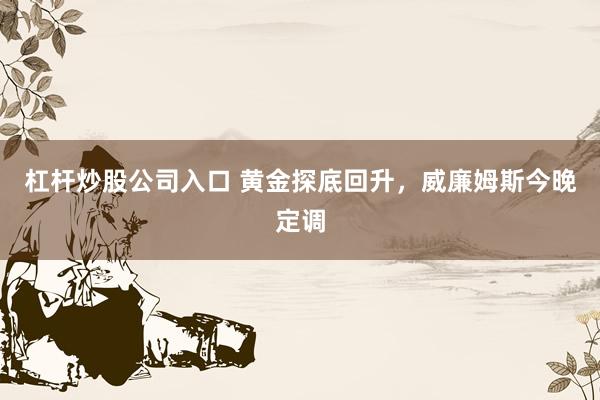 杠杆炒股公司入口 黄金探底回升，威廉姆斯今晚定调