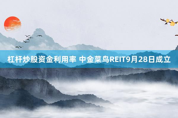 杠杆炒股资金利用率 中金菜鸟REIT9月28日成立