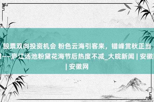 股票双向投资机会 粉色云海引客来,错峰赏秋正当时——庐江汤池粉黛花海节后热度不减_大皖新闻 | 安徽网