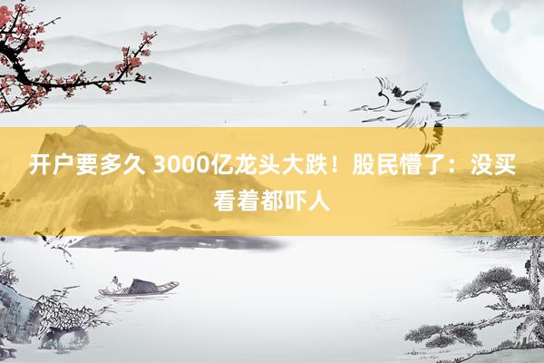 开户要多久 3000亿龙头大跌！股民懵了：没买看着都吓人