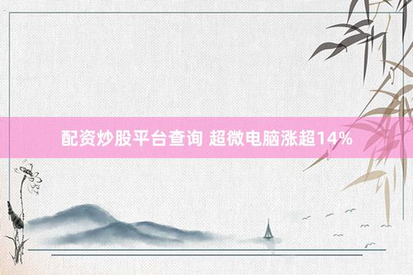 配资炒股平台查询 超微电脑涨超14%