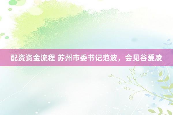 配资资金流程 苏州市委书记范波，会见谷爱凌